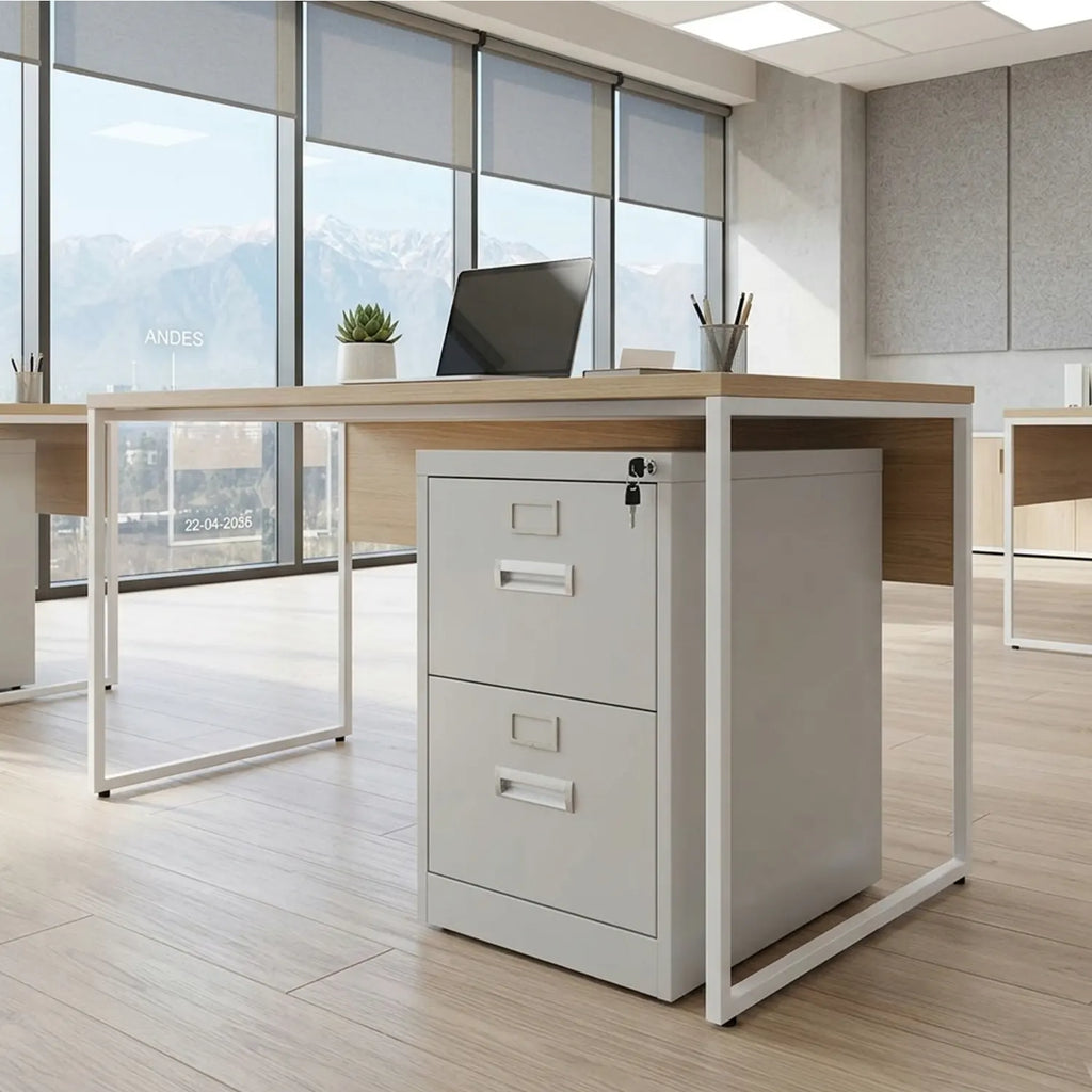 OUTLET Kardex 2 Cajones