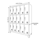 Locker 5 Cuerpos 15 Puertas con Porta Candado